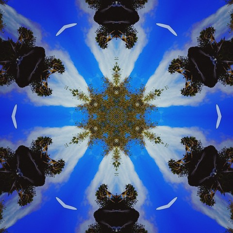 Reflez