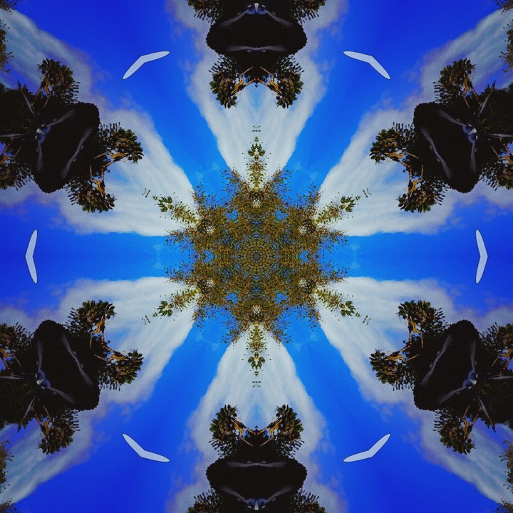 Reflez
