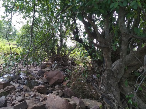 landscapes, landscape桌布