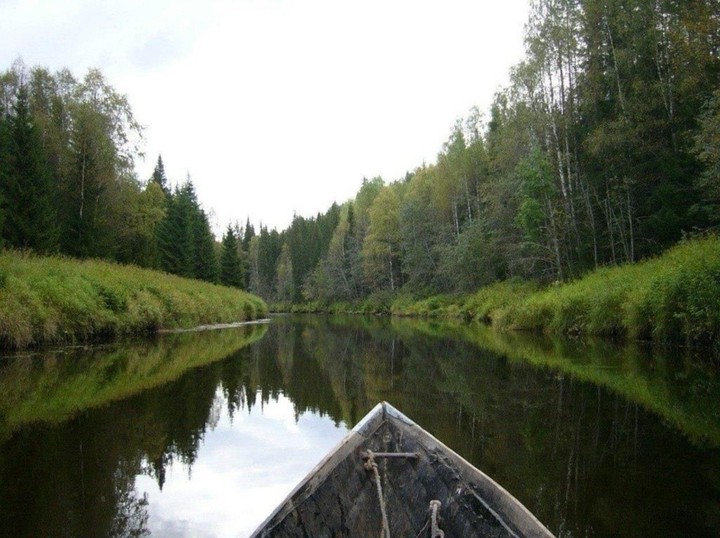 forest River
