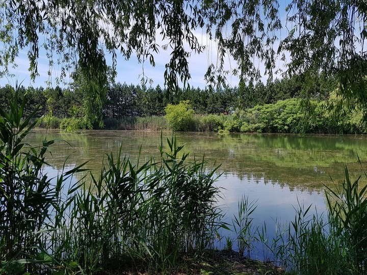 Marais