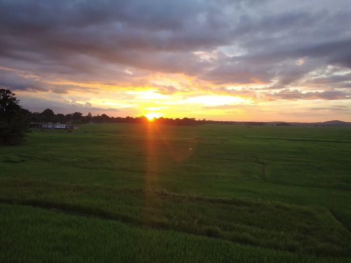 Morning Sun