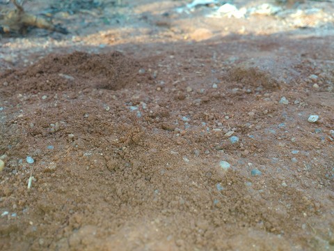 Sand