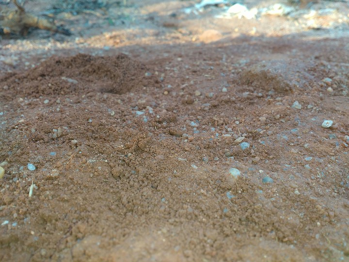Sand