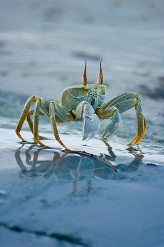 МОРСКОЙ ПЕЙЗАЖ