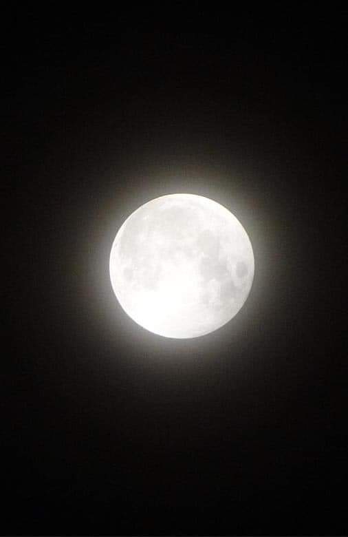luna mía!! luna de nieve el pasado 7 de febrero, Mexico