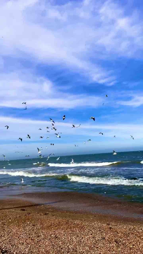 Freedom