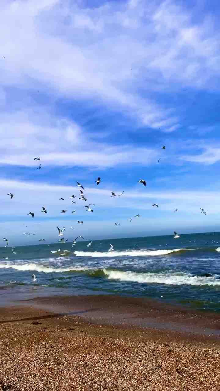 Freedom
