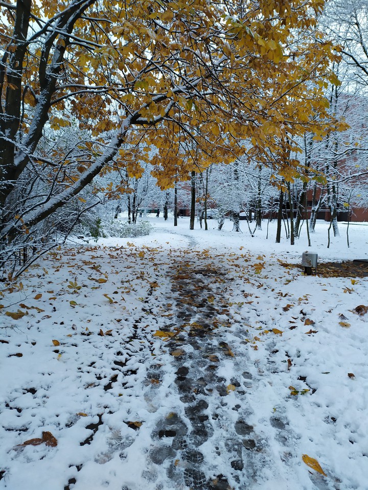 ~