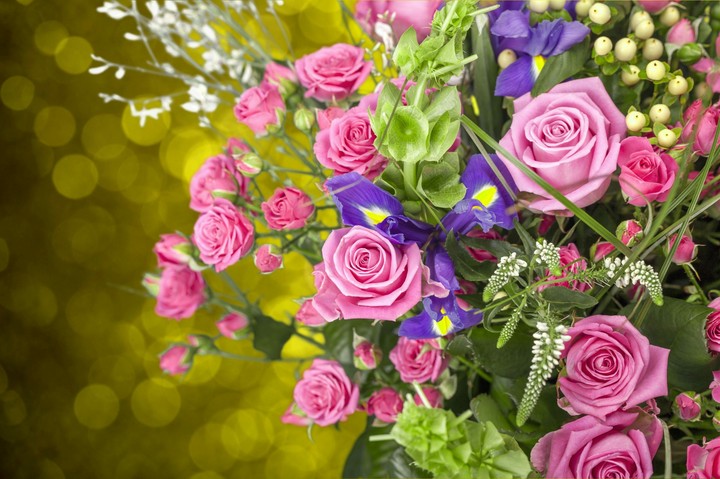 Flovers