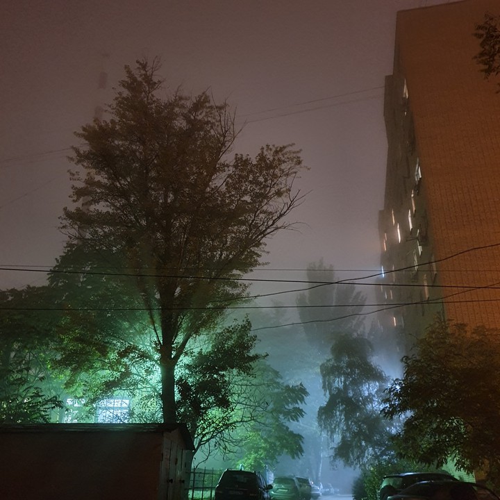 Ночной туман