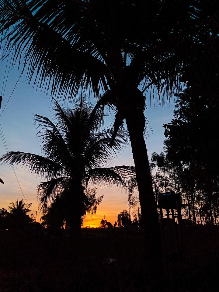 Esse final de tarde...