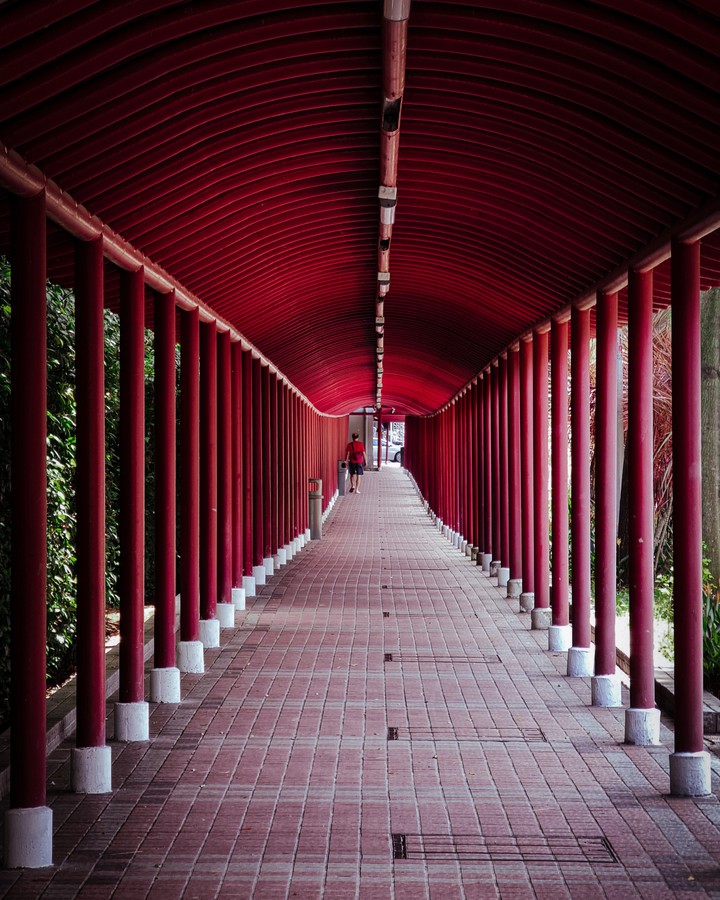 shelter