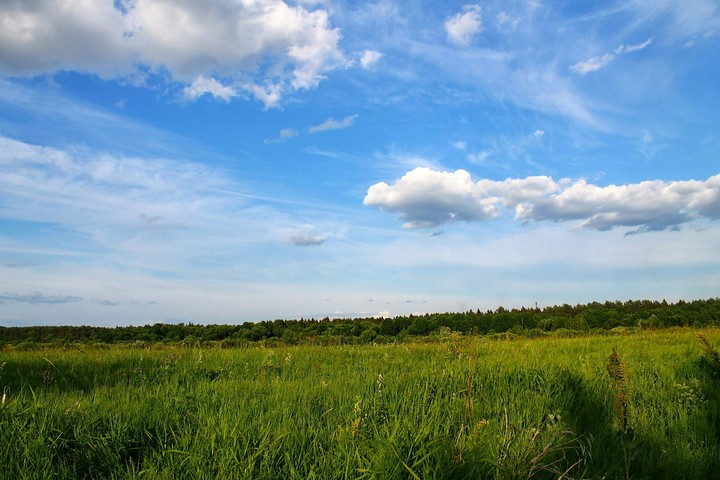 nature