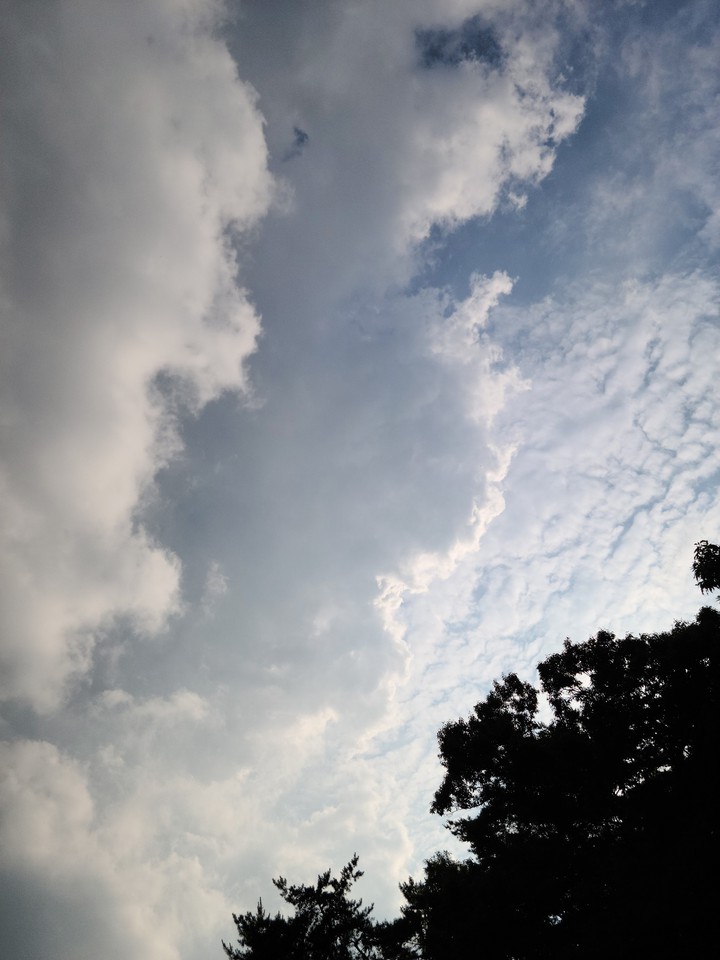 Cloud Layer