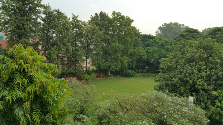 nature