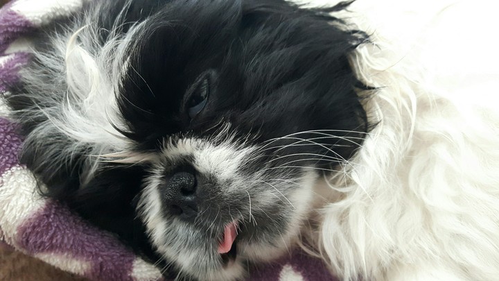 Sleeping beauty!