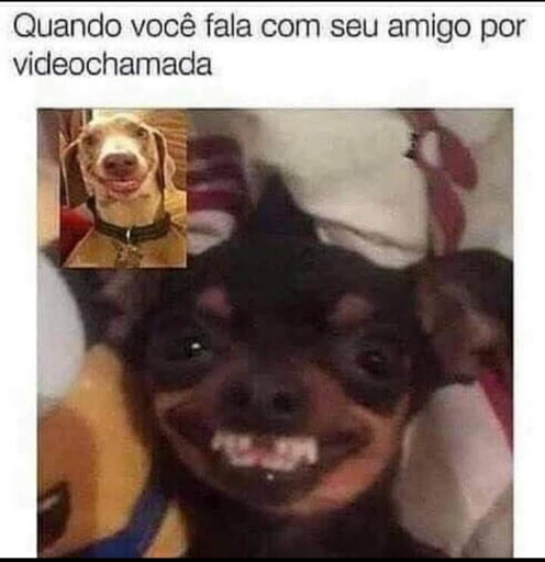 né kkkk