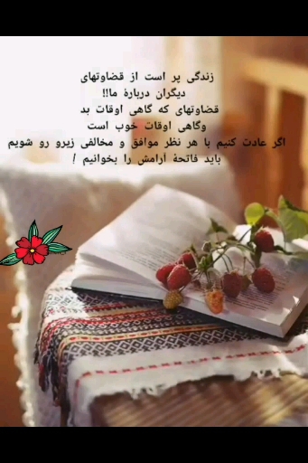 Text✍