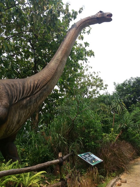 Dinosaurus Adventures