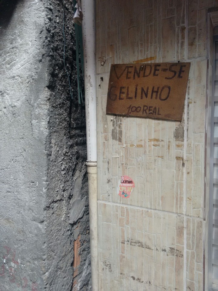 vende se gelinho