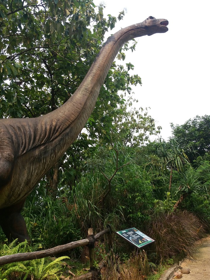 Dinosaurus Adventures