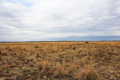 Hunting Ground