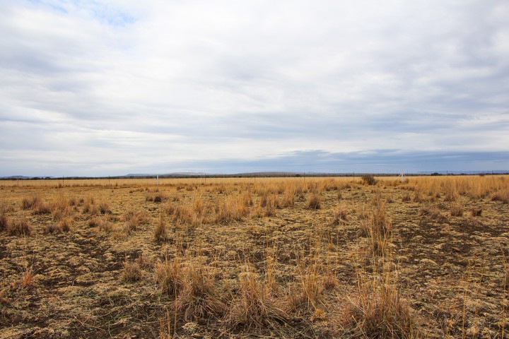 Hunting Ground