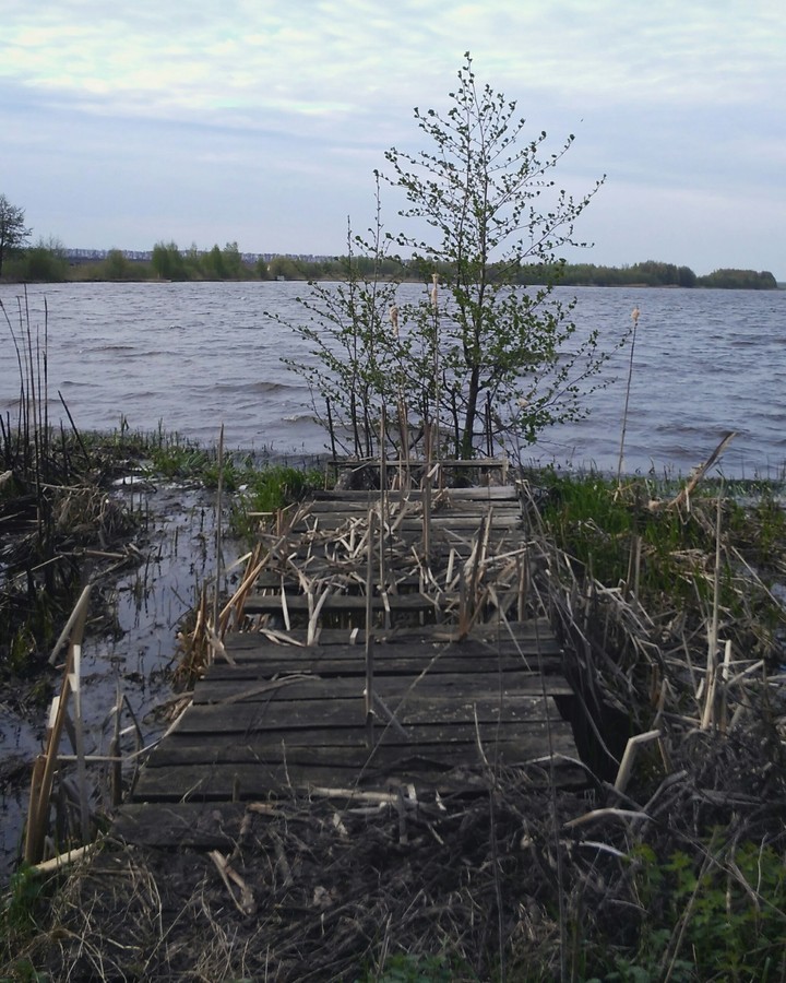 bridge to nowhere