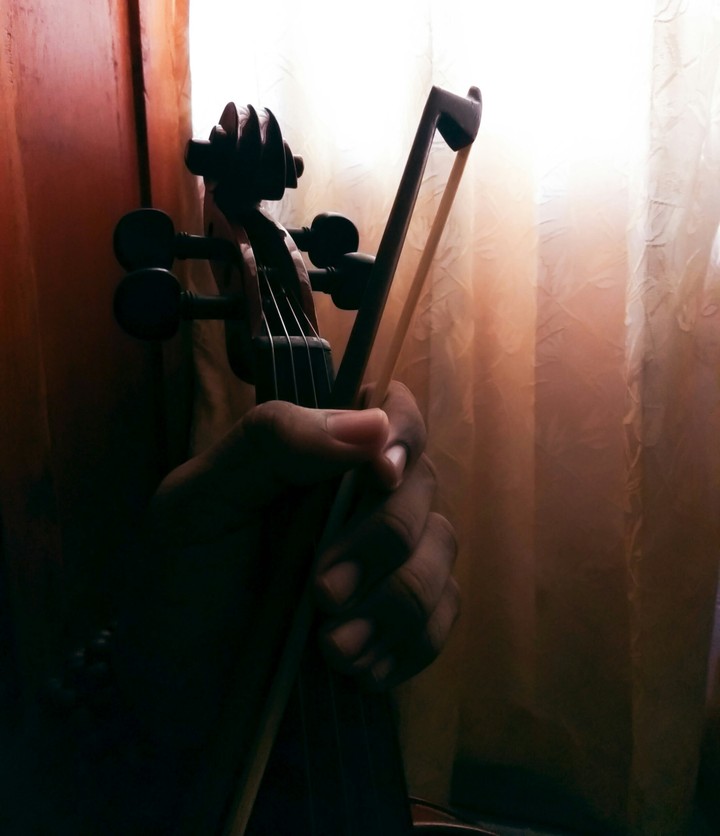 voilin