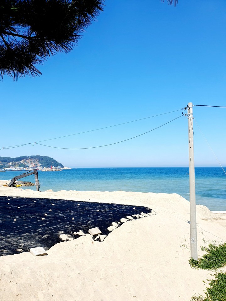 summer