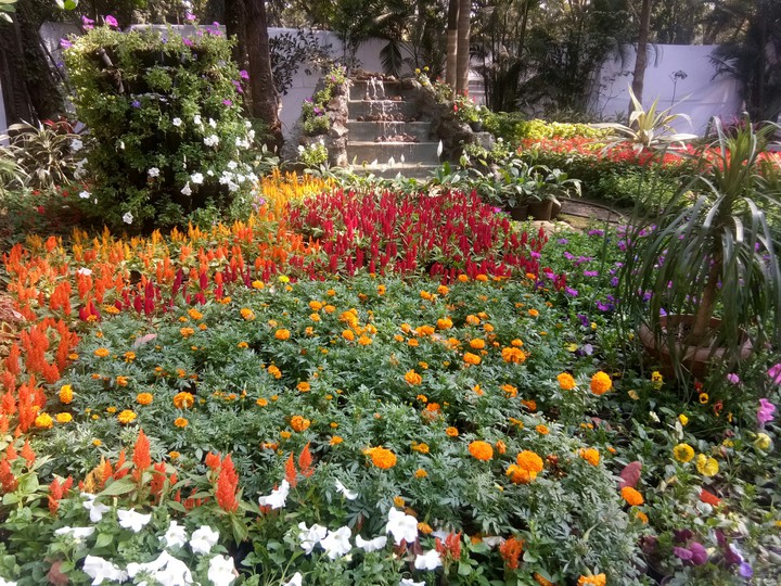 Beautiful garden