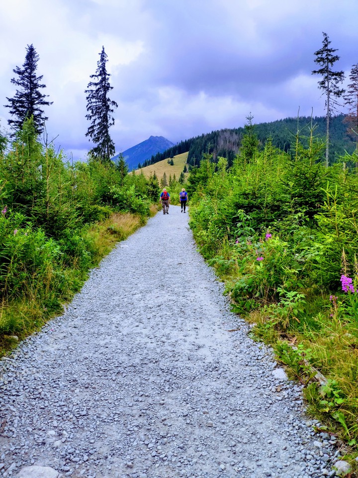 Polana Rusinowa (Tatry)