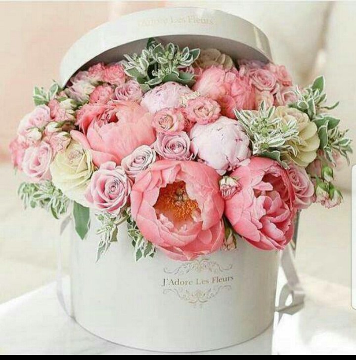 beautiful flowers