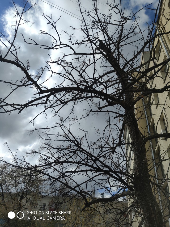 the sun is shining, but it does not warm