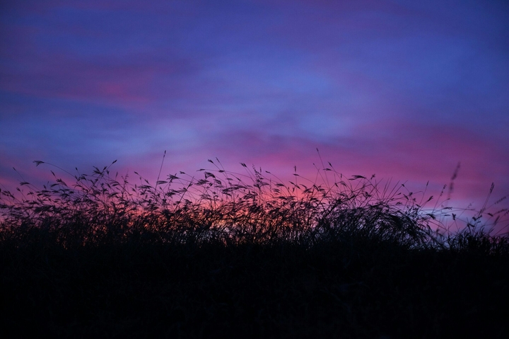 romantic sunset