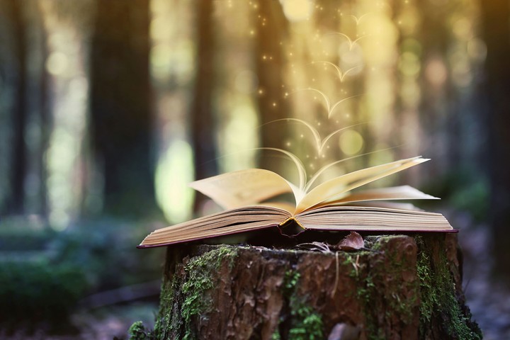 Book. Fairy tale