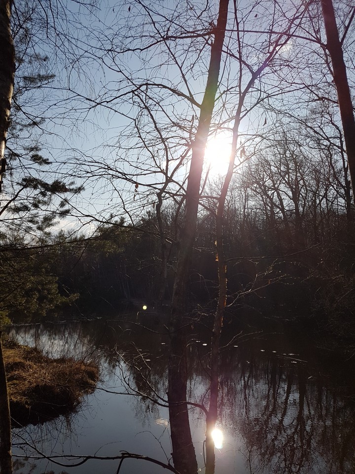 Natur3