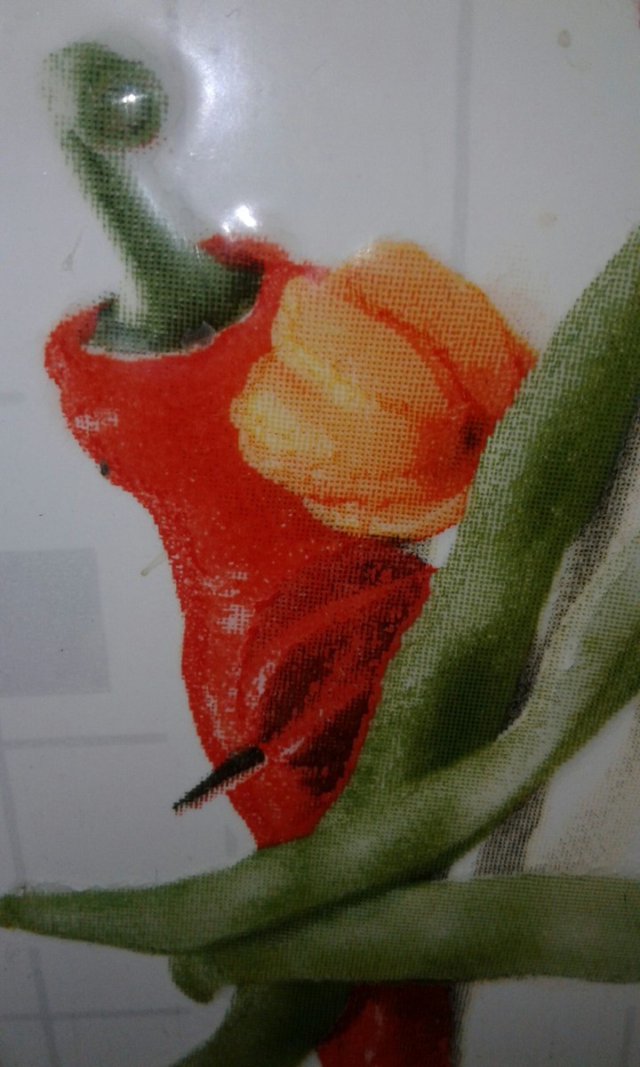 pimenta