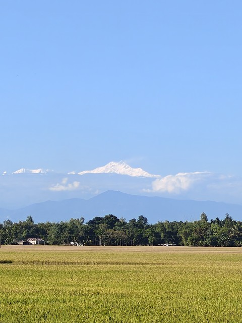 тапети crop, nature