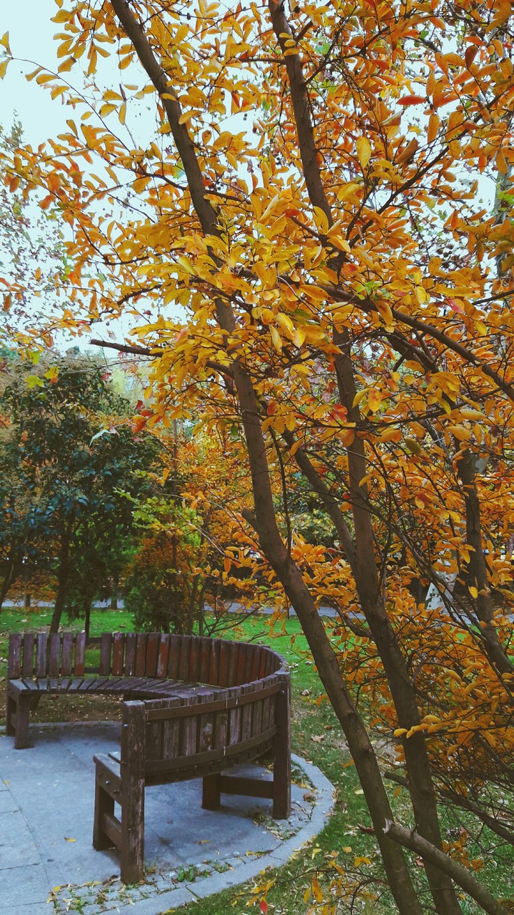 Autumn