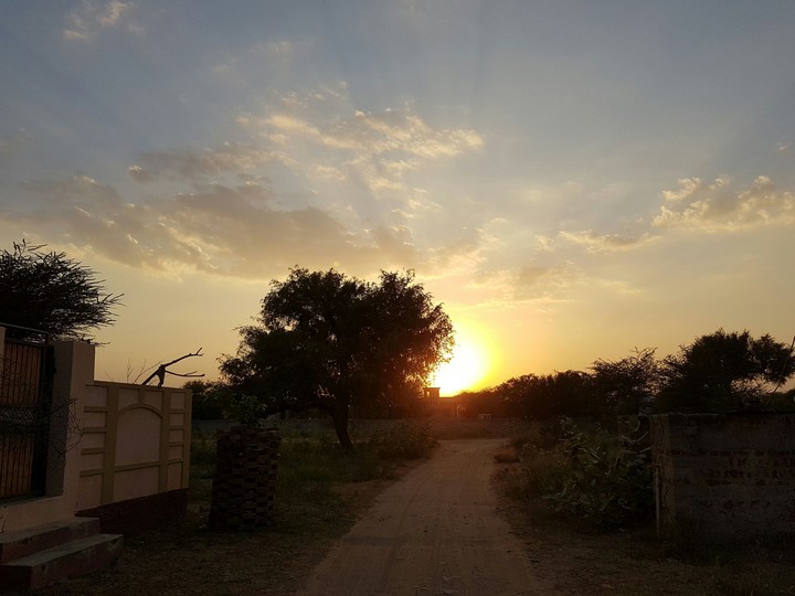 sunset