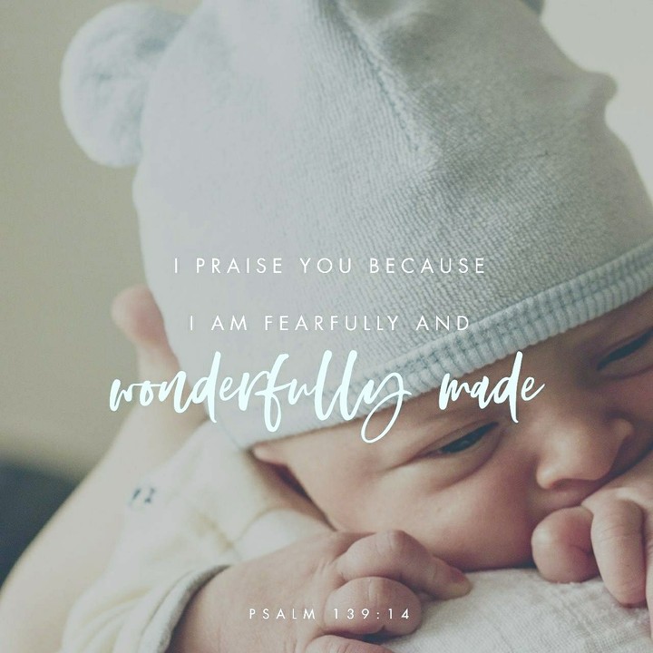Bible Quotes
