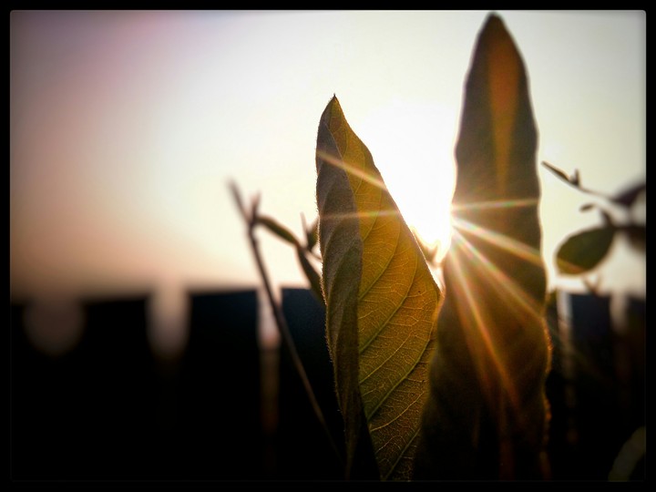morning screen