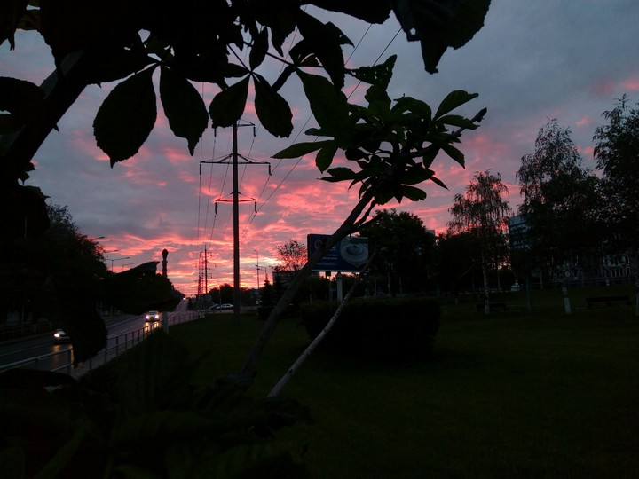 Morning