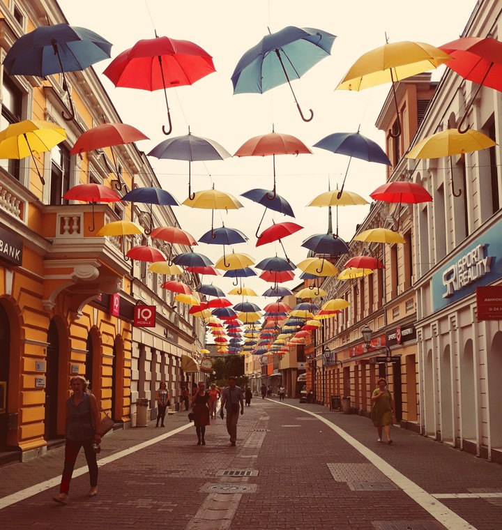 umbrella