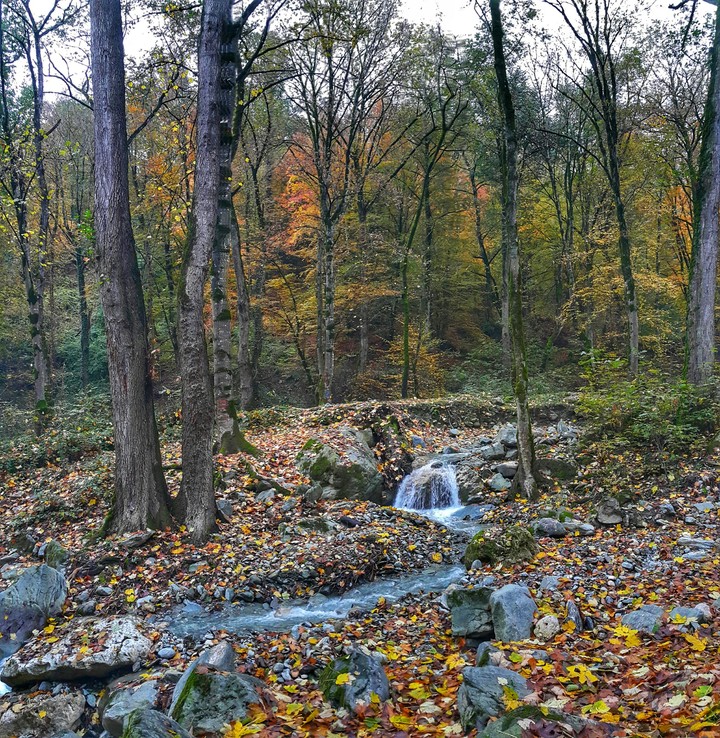 Autumn King of the Seasons