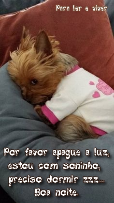 Aos meus amigos queridos.