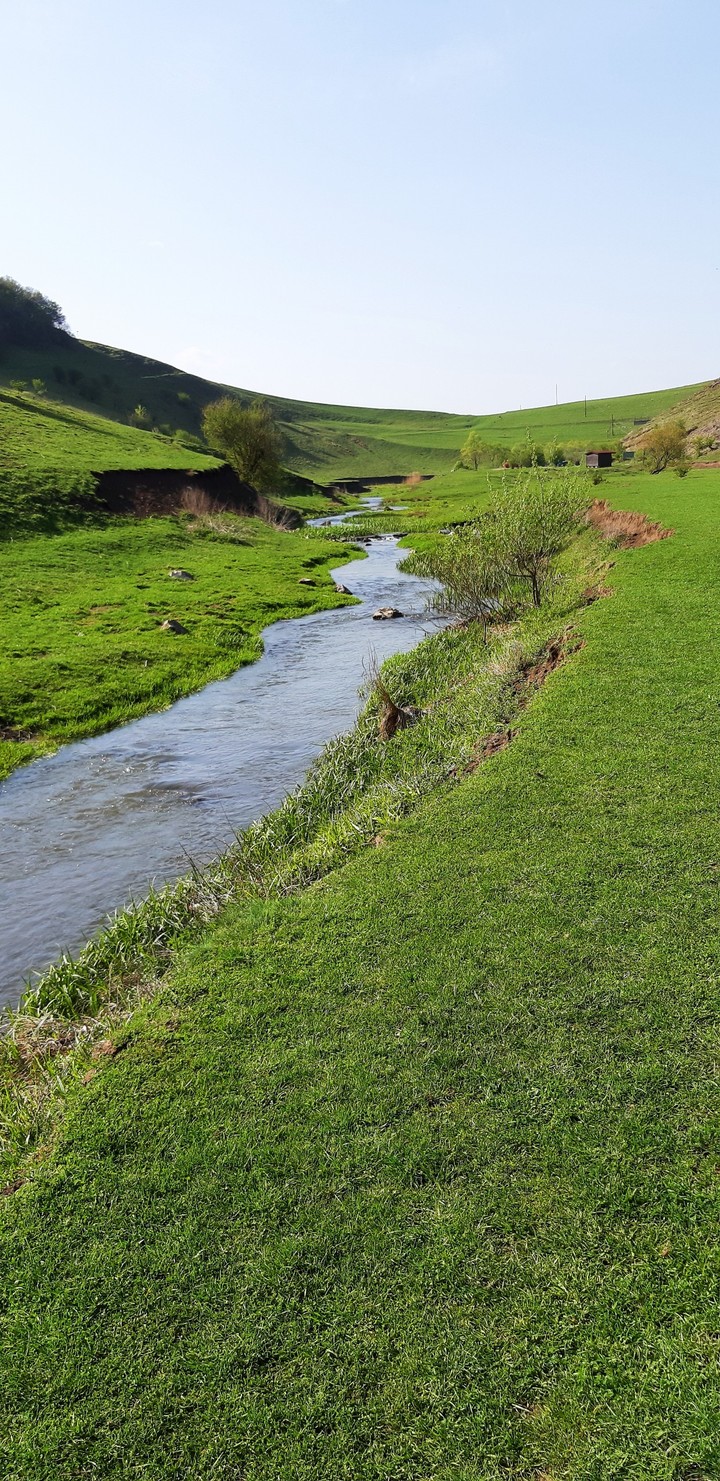 Creek