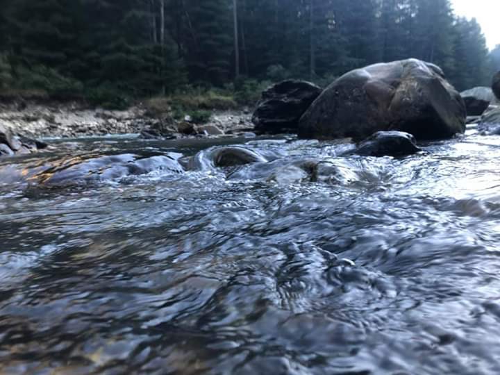 go with the flow